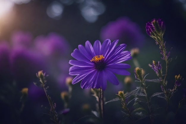 A purple flower with the word wild in the background