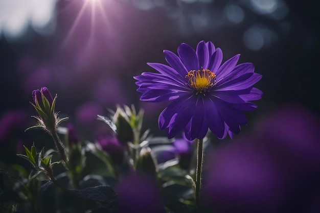 A purple flower with the word wild in the background