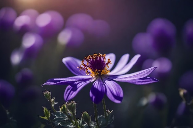 A purple flower with the word wild in the background