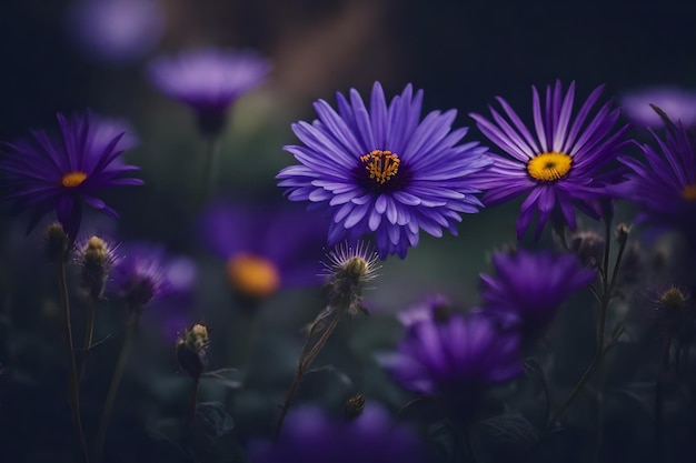 A purple flower with the word wild in the background