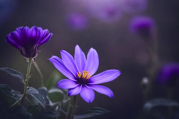 A purple flower with the word wild in the background