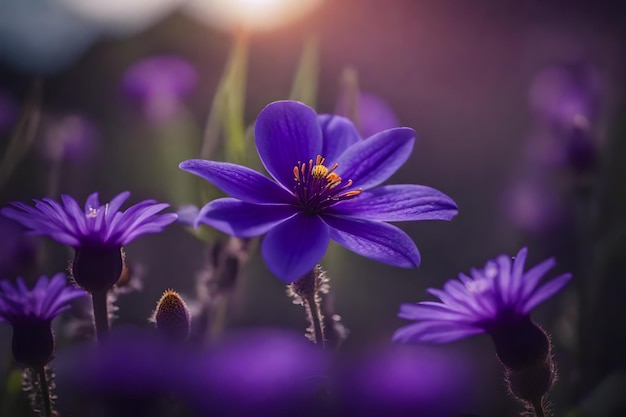 A purple flower with the word wild in the background