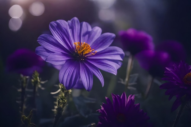 A purple flower with the word wild in the background