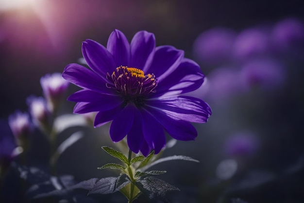 A purple flower with the word wild in the background