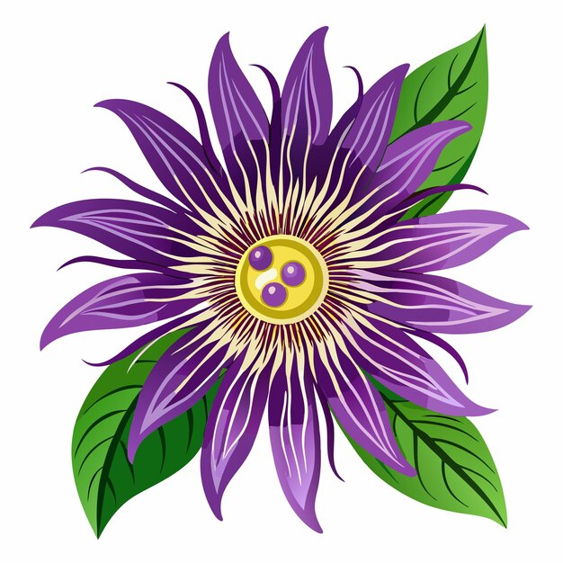 a purple flower with a yellow center and green leaves