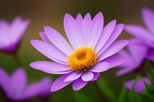 Photo a purple flower with yellow center and a yellow center