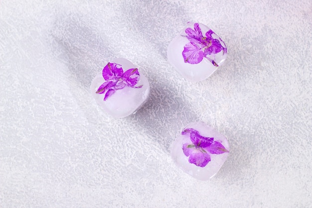 Purple flowers frozen in ice cubes on light gray background with copy space.