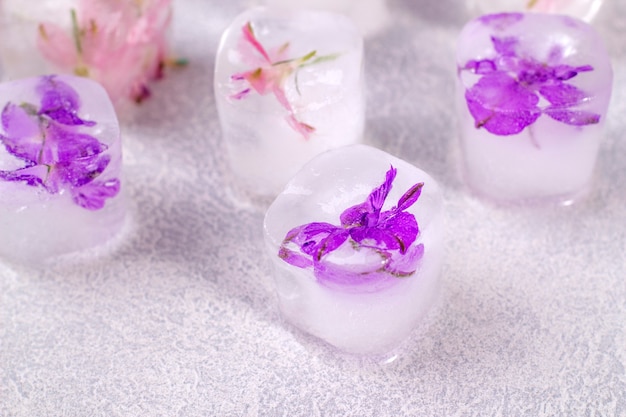 Purple flowers frozen in ice cubes on light gray background with copy space.