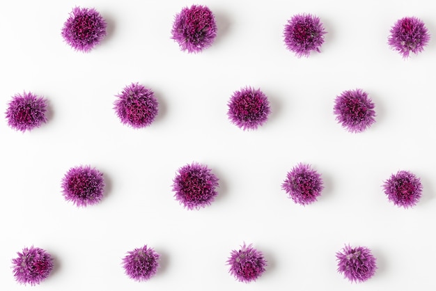 Purple flowers pattern. Onion wildflowers composition on white. Floral minimal concept