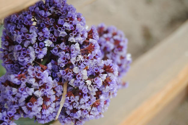 Purple flowers with blurred wooden fence in the background