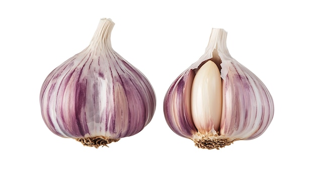 Purple Garlic Cloves One Whole and One Open