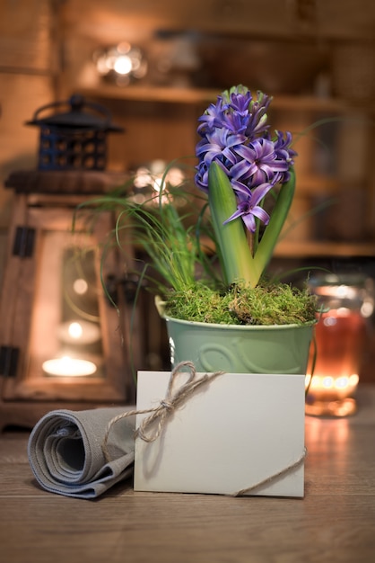 Purple hyacinth and greeting card on winter kitchen