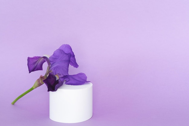 Purple iris flower with product display on purple background Copy space