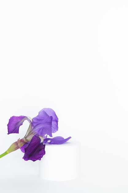 Purple iris flower with product display on white background Copy space Vertical photo