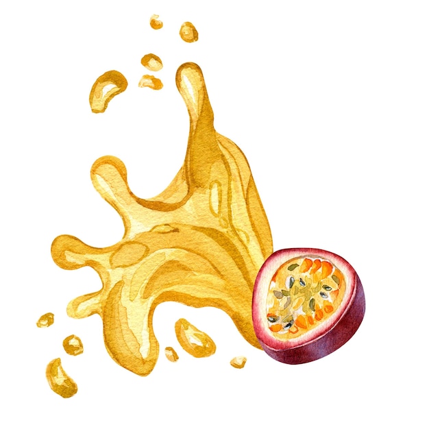 Purple passion fruit and splash juice watercolor illustration isolated on white background