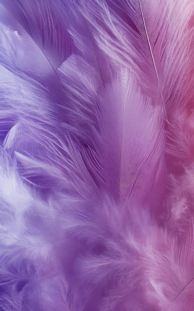 Purple and Pink colored feathers filling the entire image texture