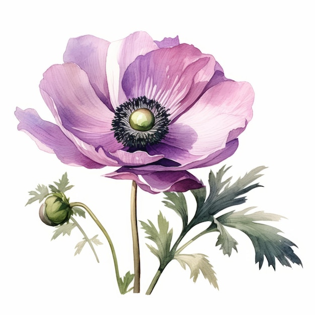 purple poppy flowers watercolor painting in the style of frank xavier leyendecker. this stock vector illustration art captures the essence of late 19th-century artist zinaida serebriakova. the light p