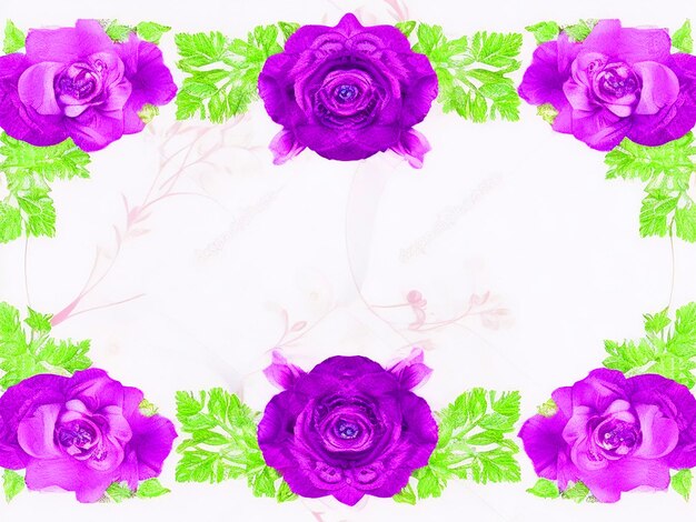 Purple roses corner border designs Lavender roses Image