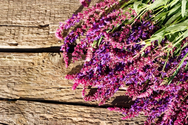 Purple salvia flowers on rustic wooden background Top view copy space