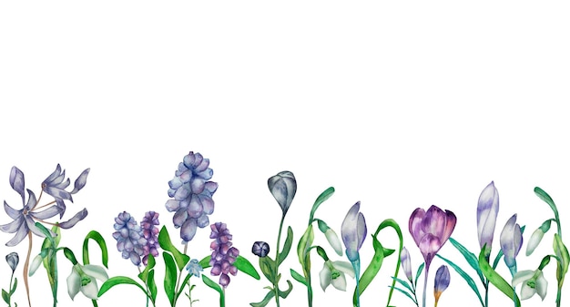 Purple spring flowers watercolor banner isolated on white