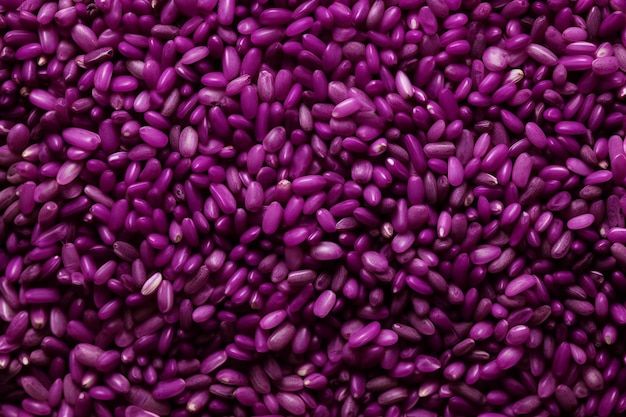 Purple sweet rice as a background Closeup image