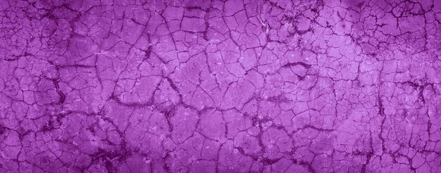 purple texture background of stucco wall cement