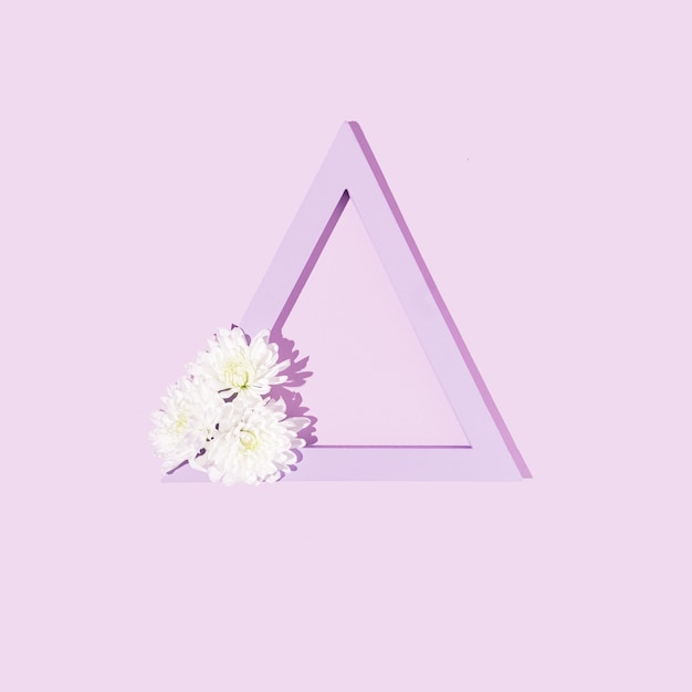 Purple triangle and white daisy flowers on pastel backgroundCreative copyspace for message