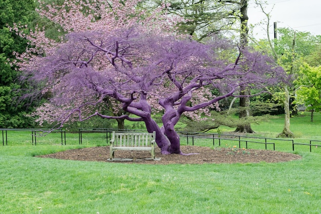 Purple violet painted tree detail