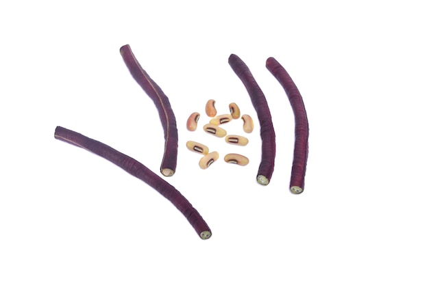 Purple yard long beans isolated on white background