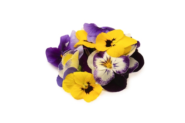 Purple and yellow edible flowers isolated on white background