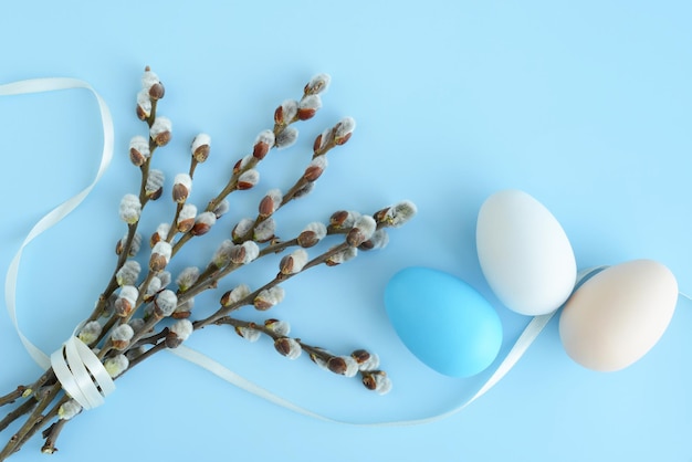 Pussy willow bouquet easter eggs on a blue background beautiful fluffy sprigs of willow blooming