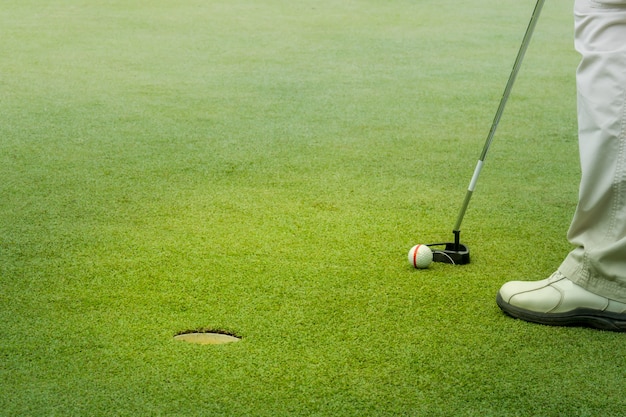 Putting golf ball by golfer on green golf course