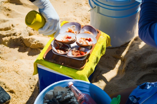 Putting sauces on the fine shells of Malaga prepared by hand in the sea