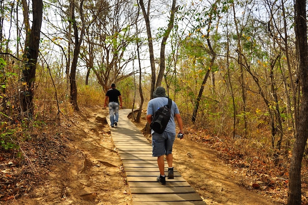 Puyango Petrified Forest