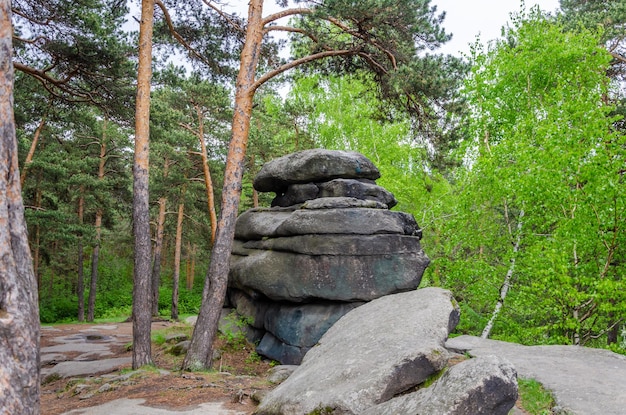 A pyramid of flat stones in the forest.