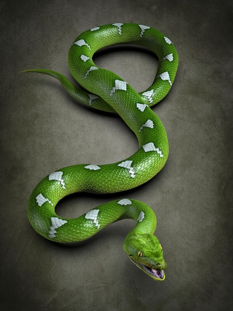 Python closeup 3d illustration