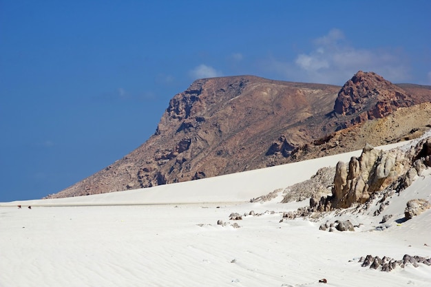 Qalansiyah Beach Socotra island Indian ocean Yemen