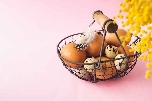 Quail and chicken eggs in metal basket with feather on pastel pink background