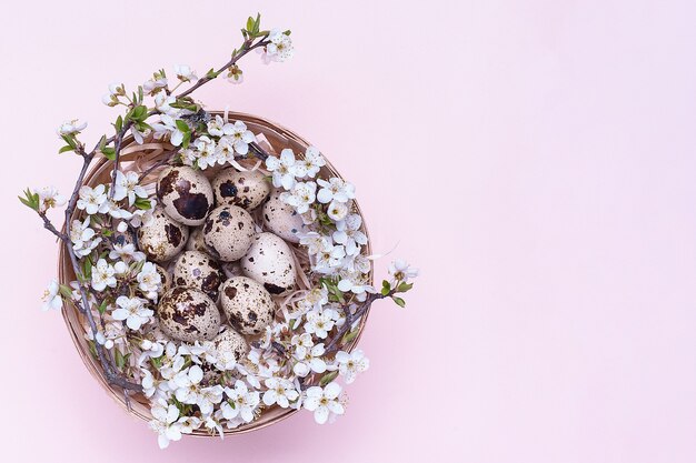 Quail easter eggs in a basket with flowers on a pink background