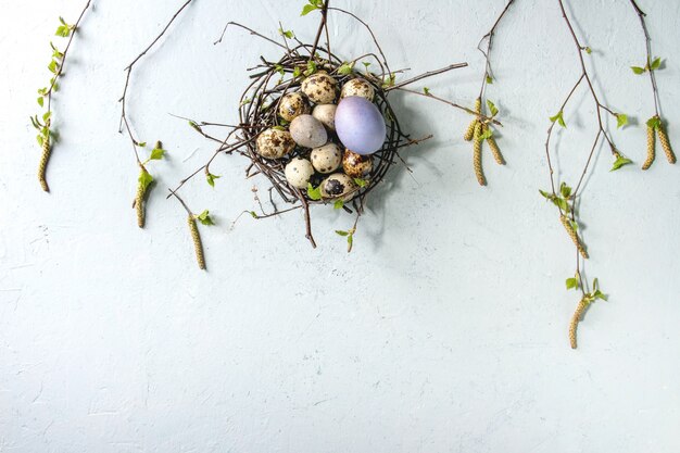 Quail Easter eggs in nest