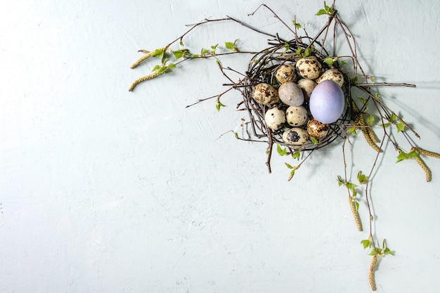 Quail Easter eggs in nest