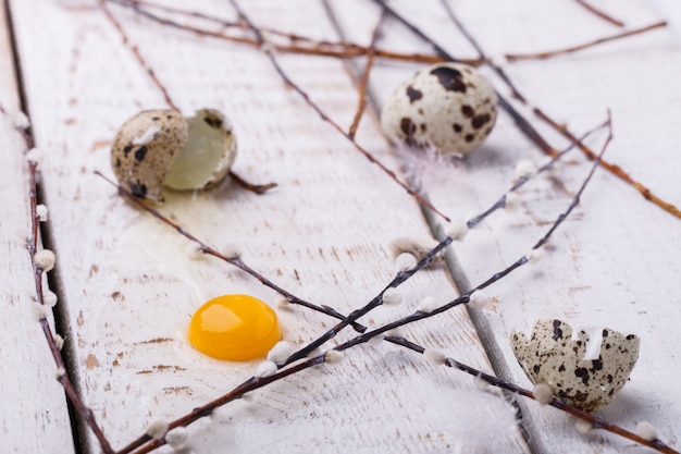 Quail egg in the straw