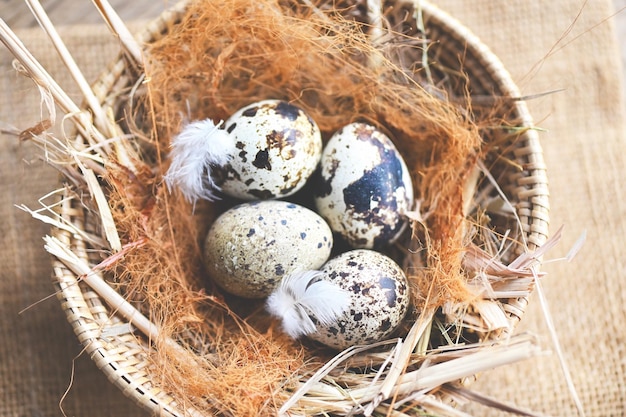 Quail eggs on bird nest fresh quail eggs on basket background raw eggs