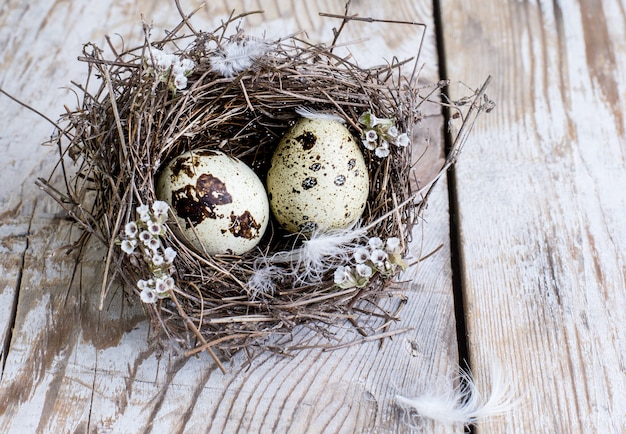 Quail eggs in a bird's nest on a wooden