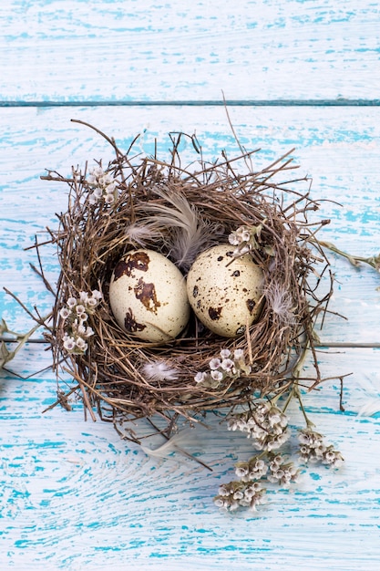 Quail eggs in a bird's nest on a wooden