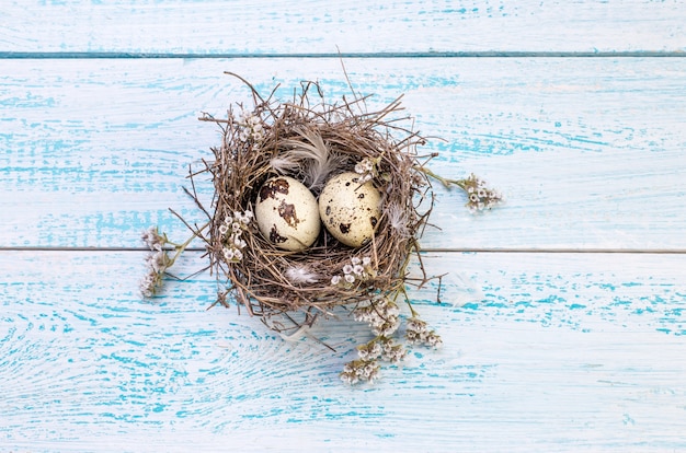 Quail eggs in a bird's nest on a wooden