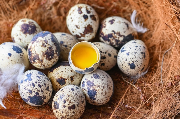 Quail eggs on birds nest fresh quail eggs and feather on wooden table background raw eggs with peel egg shell