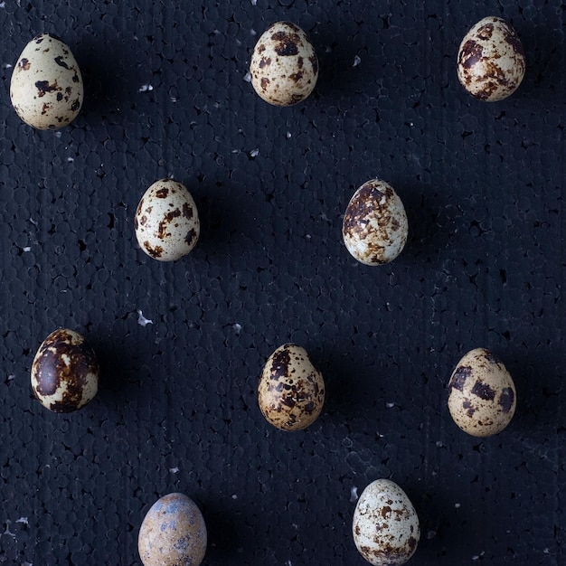 Quail eggs on a black background top view