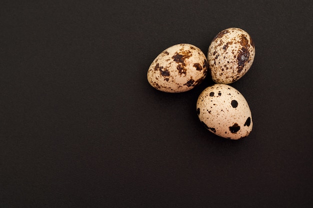 Quail eggs on a black background