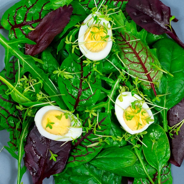 Quail eggs boiled on a lettuce leaf with microgreen sprouts Proper nutrition Vegan food Closeup View from above